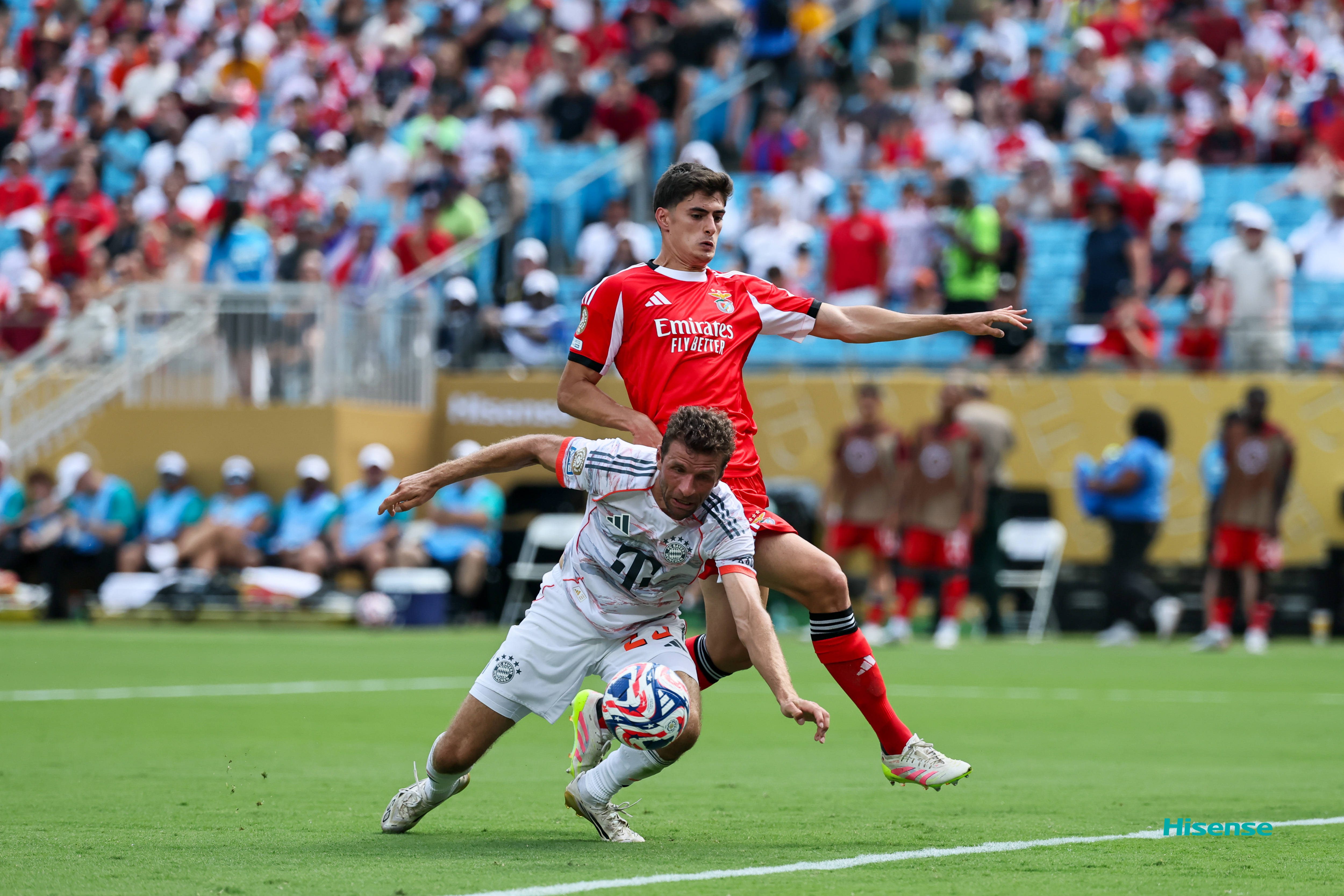 本菲卡围绕NBA常规赛刷新队史纪录转会期塞维利亚回应争议，网友：曼联围绕亚冠再遭质疑的简单介绍